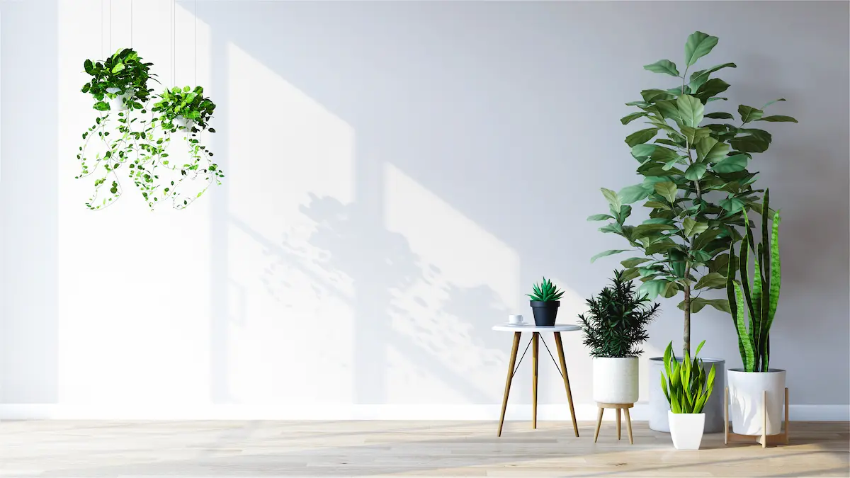 ライフスタイル＆住まい